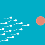 fertilization, sperm, medical-6918867.jpg